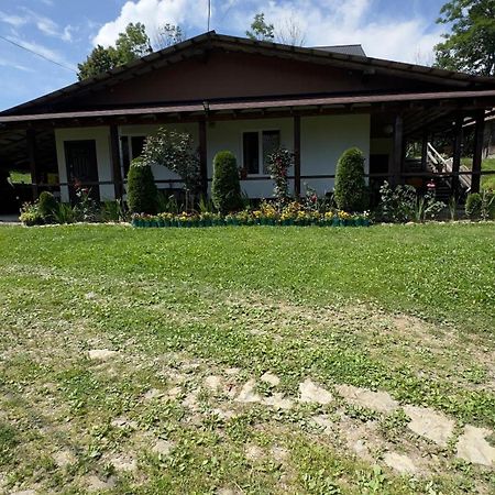Dacha Podobovets 127 Otel Dış mekan fotoğraf