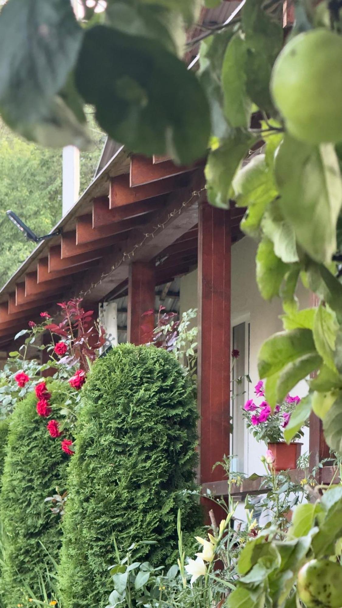 Dacha Podobovets 127 Otel Dış mekan fotoğraf